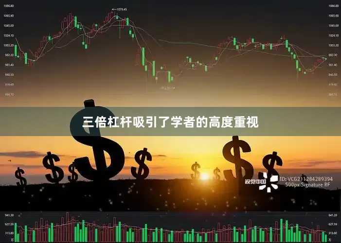 三倍杠杆吸引了学者的高度重视