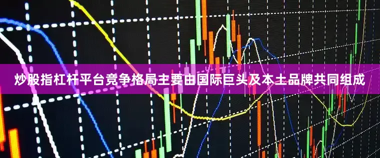 炒股指杠杆平台竞争格局主要由国际巨头及本土品牌共同组成
