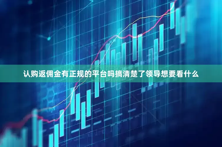 认购返佣金有正规的平台吗搞清楚了领导想要看什么