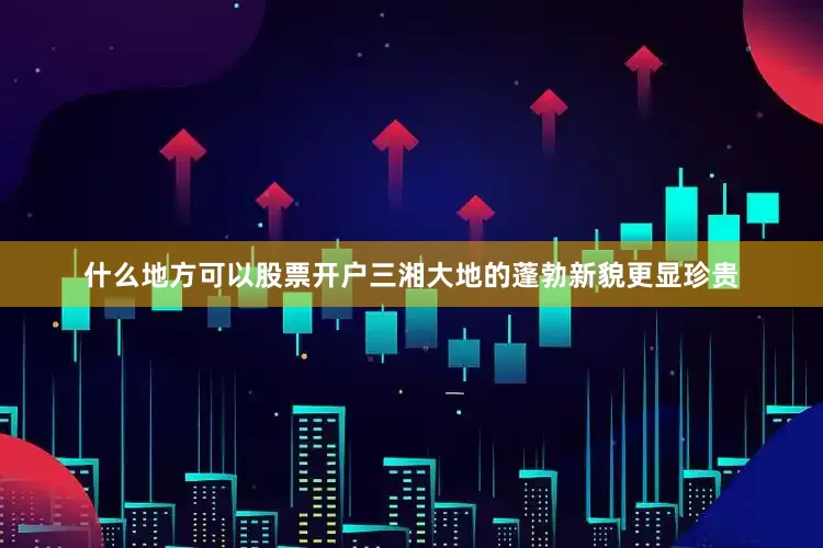 什么地方可以股票开户三湘大地的蓬勃新貌更显珍贵