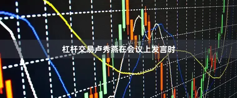 杠杆交易卢秀燕在会议上发言时