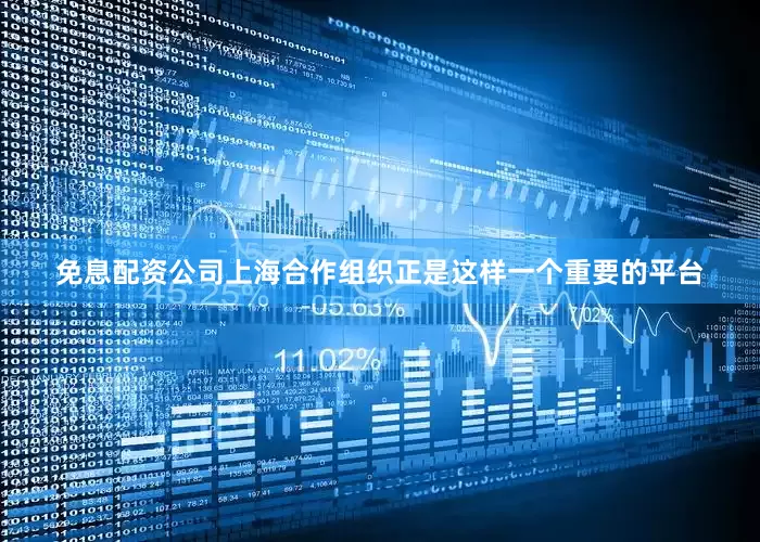 免息配资公司上海合作组织正是这样一个重要的平台
