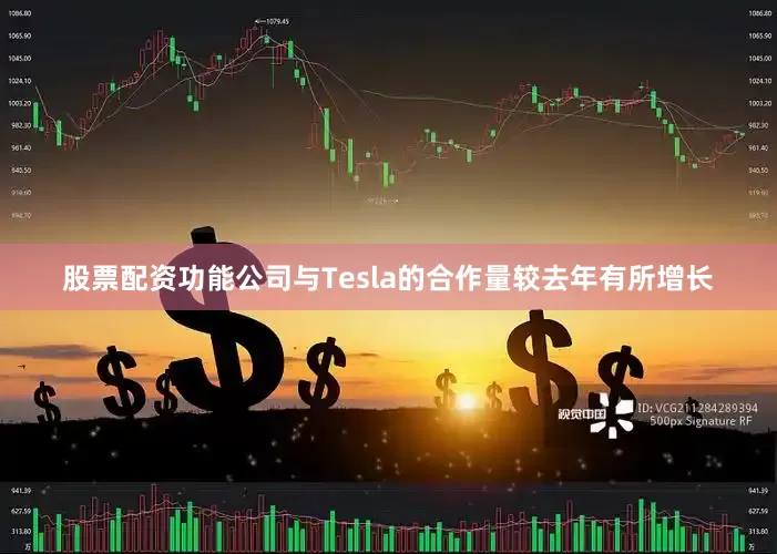 股票配资功能公司与Tesla的合作量较去年有所增长